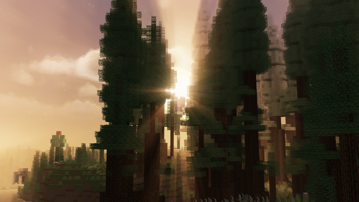 A dense Minecraft forest backlit by a warm sunset